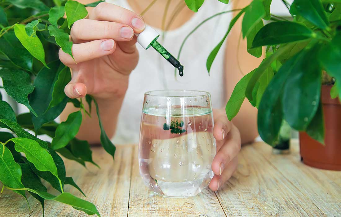 Healthy Habits That Actually Stick: A Note From Our Founder