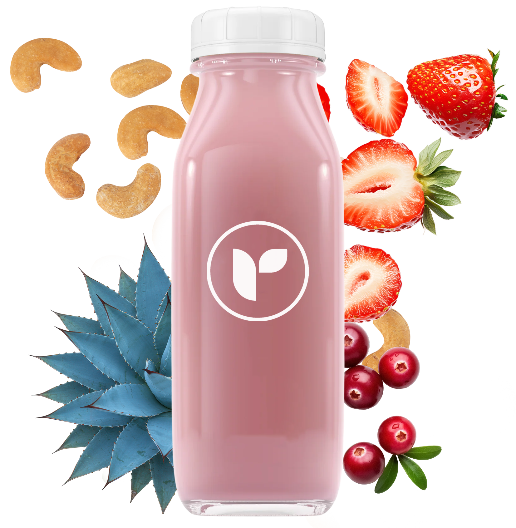 Berry Probiotic Mylk