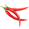 Cayenne