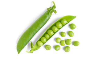 Pea Protein