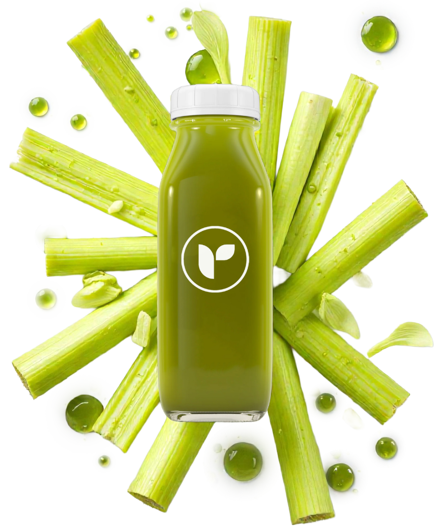 Pure Celery Juice