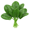 Spinach