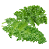 Kale