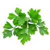 Parsley